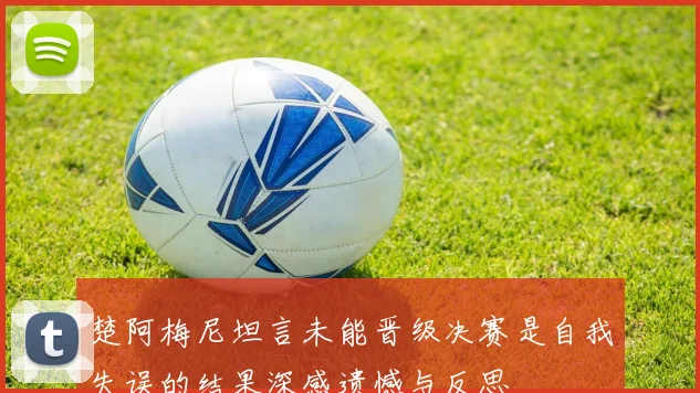 楚阿梅尼坦言未能晋级决赛是自我失误的结果深感遗憾与反思