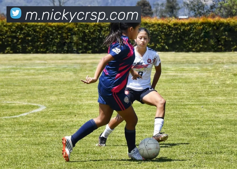 APP界面展示